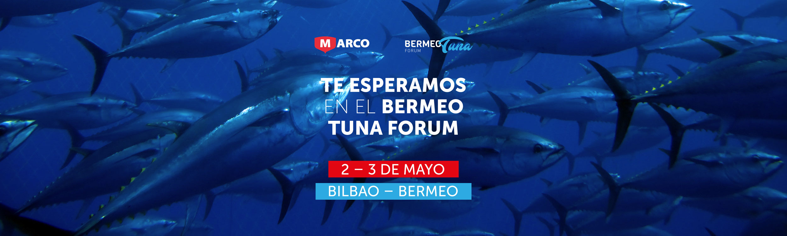 Bermeo Tuna Forum