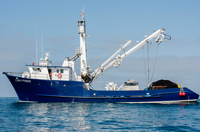 Sardine vessels, Industries